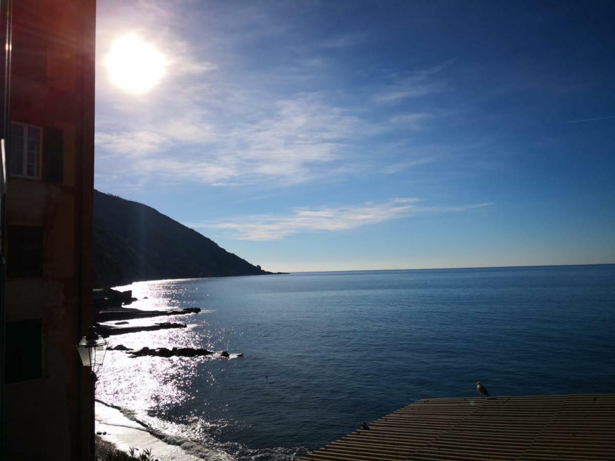 Le Finestre sul mare Apartment Camogli Exterior foto