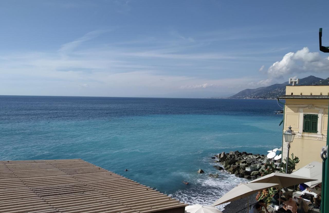 Le Finestre sul mare Apartment Camogli Exterior foto